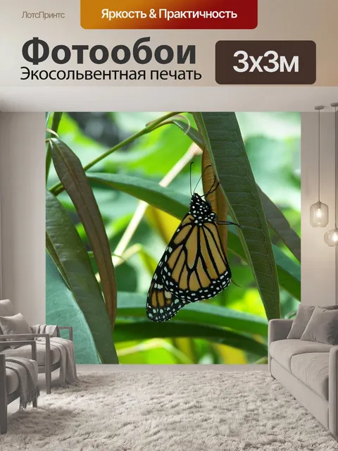 Фотообои Бабочка