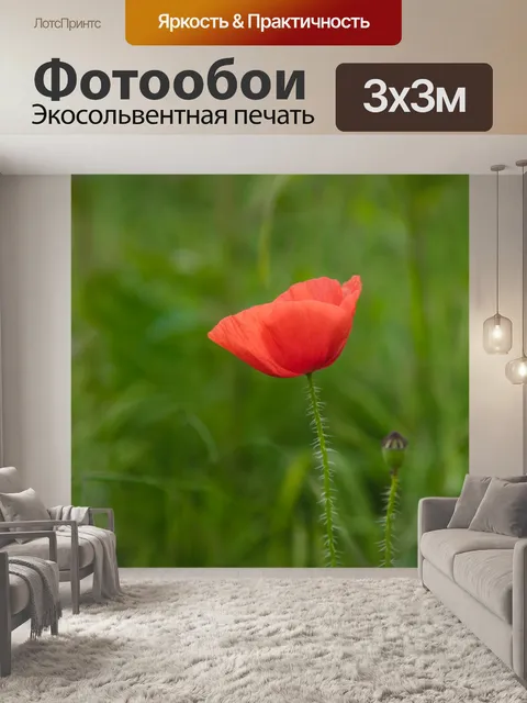 Фотообои Красный мак