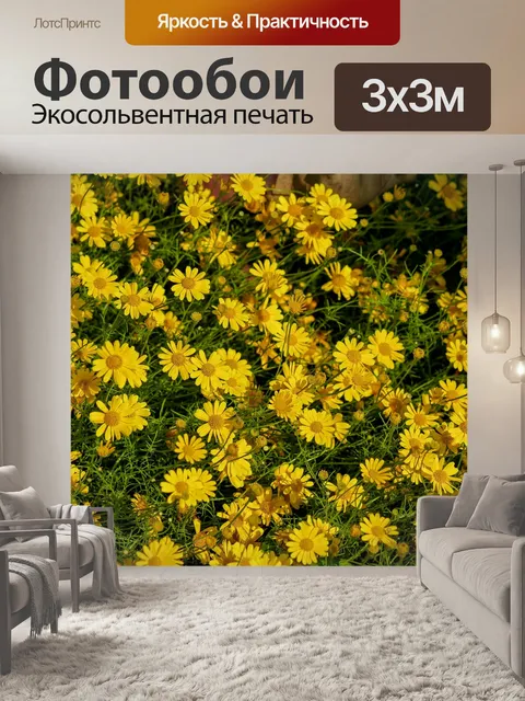 Фотообои Поле цветов