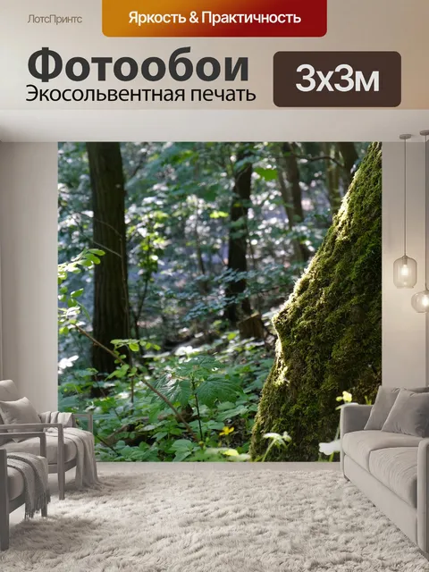 Фотообои Лес