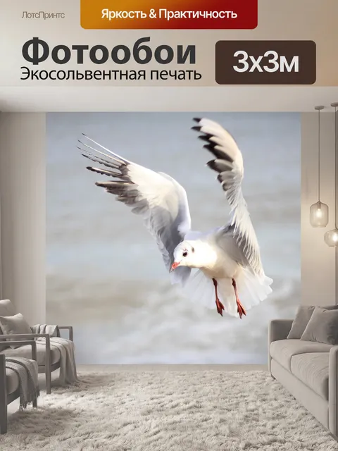 Фотообои Птица