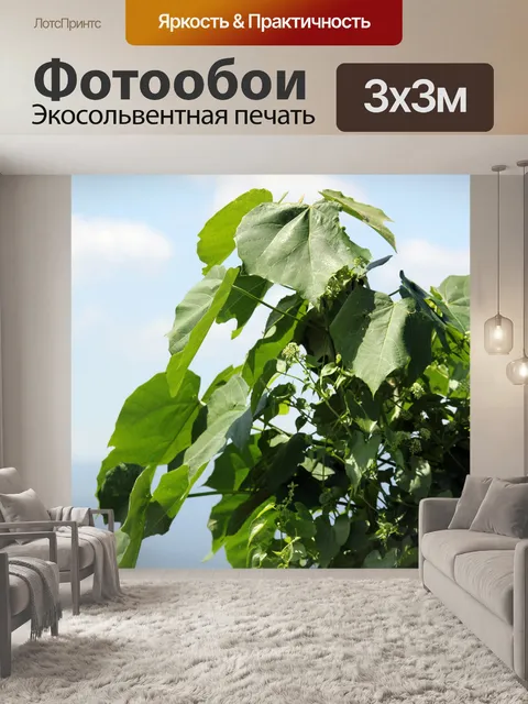 Фотообои зеленые листья 4