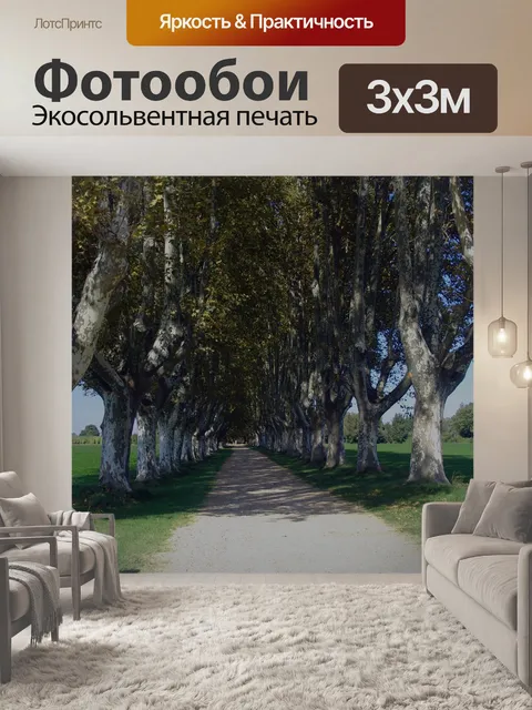 Фотообои Франция