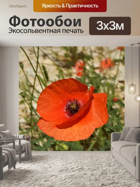 Фотообои Мака