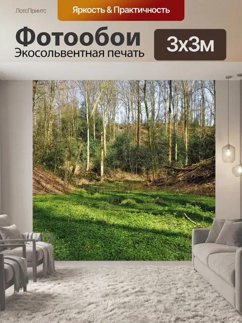 Фотообои Лес