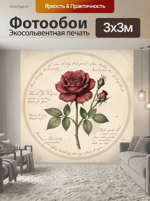 Фотообои Бордовая роза с бутонами