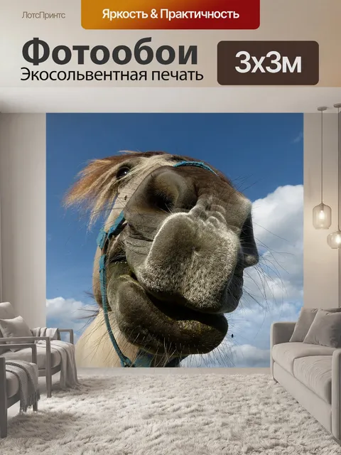 Фотообои Лошадь