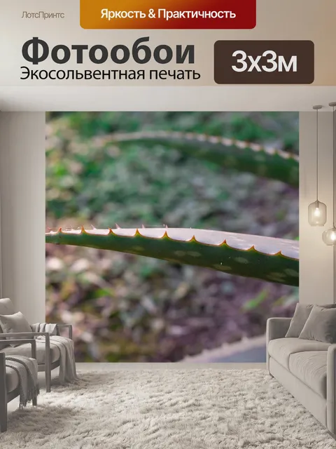 Фотообои Сад