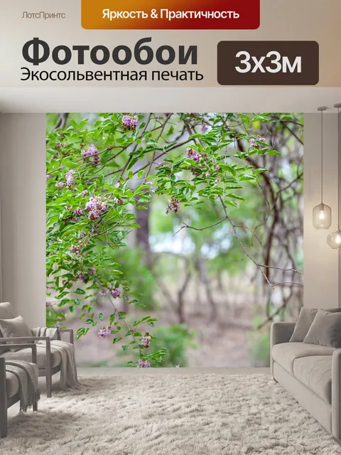 Фотообои Лесной массив