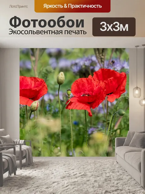 Фотообои Маки