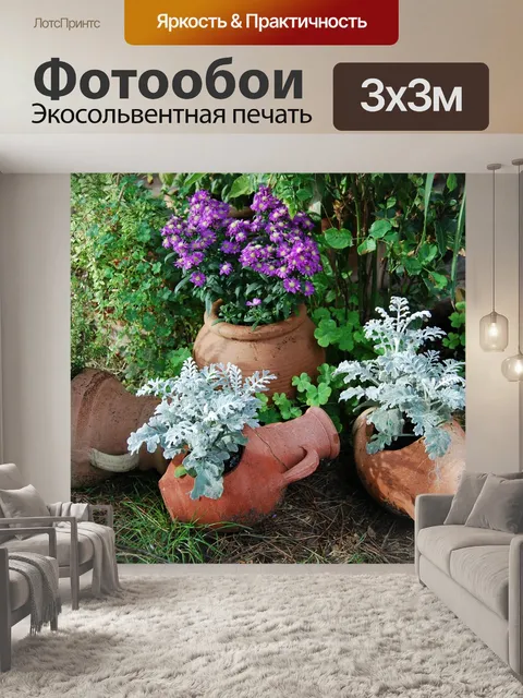 Фотообои Амфоры