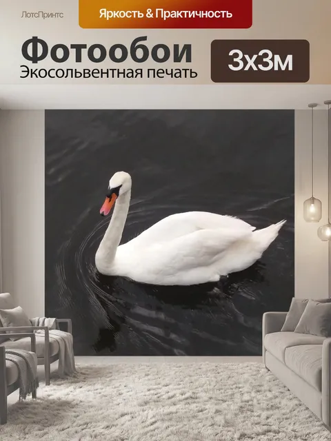 Фотообои Белый