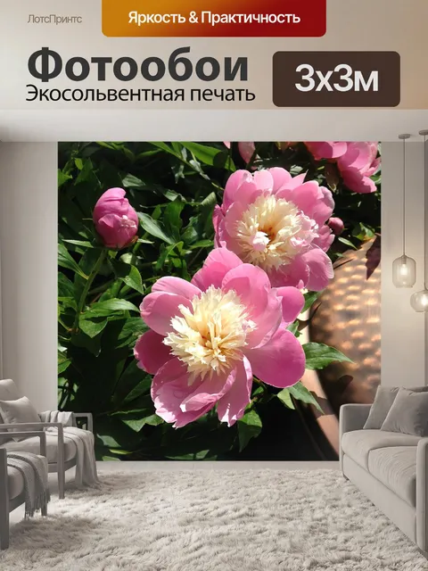 Фотообои Пионы