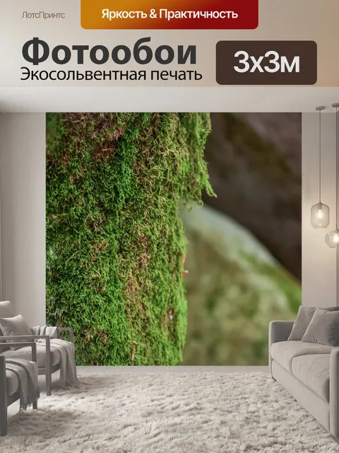 Фотообои Дерево