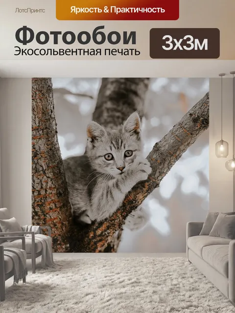 Фотообои Кошка