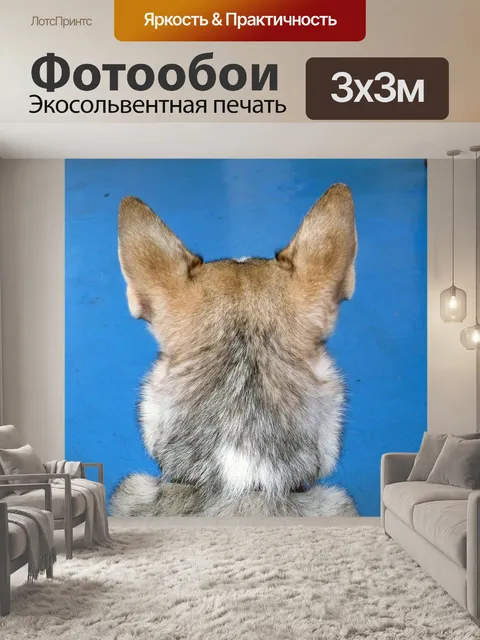 Фотообои Собаки