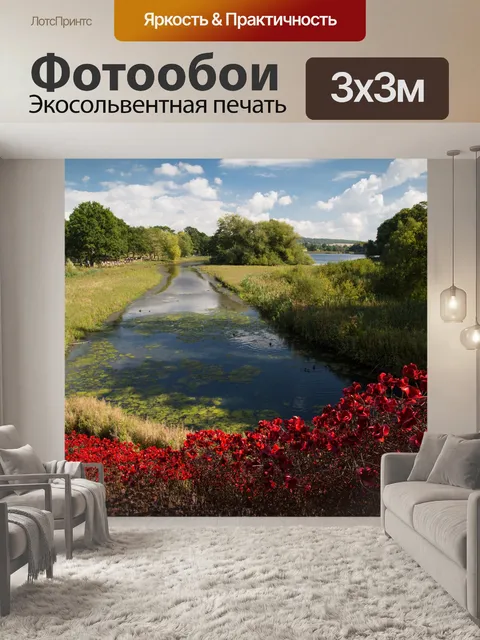 Фотообои Почтить память жертв, красные маки