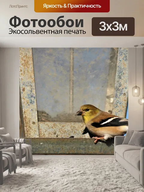 Фотообои Щегол на кормушке для птиц