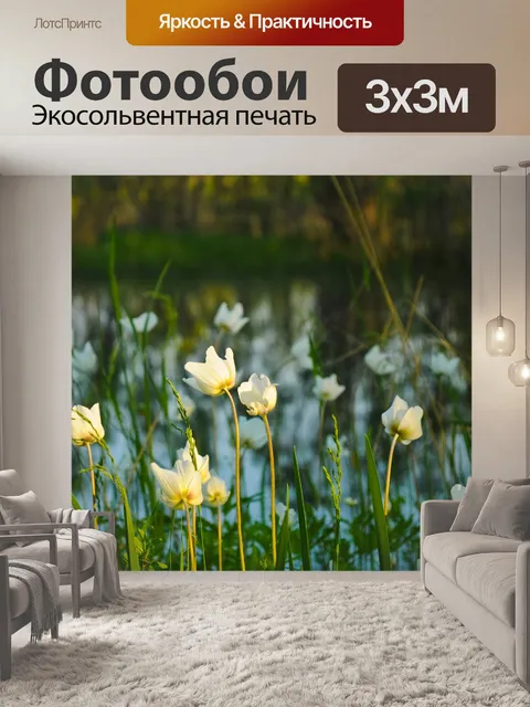 Фотообои Цветы