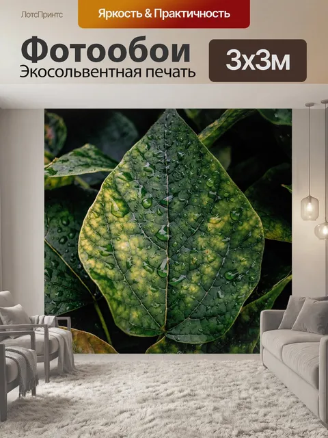 Фотообои Листья