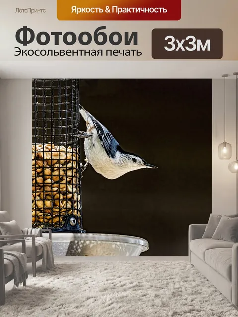 Фотообои Белая грубая поползень