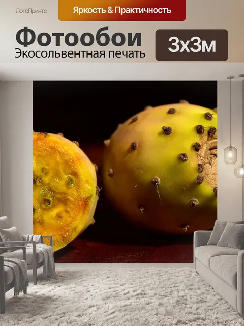 Фотообои Опунция