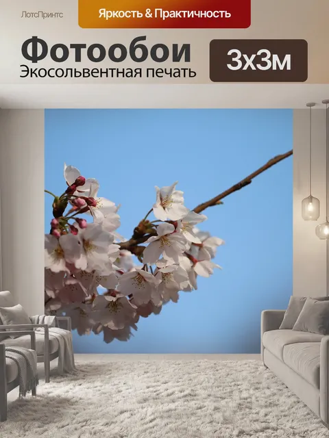 Фотообои Весна