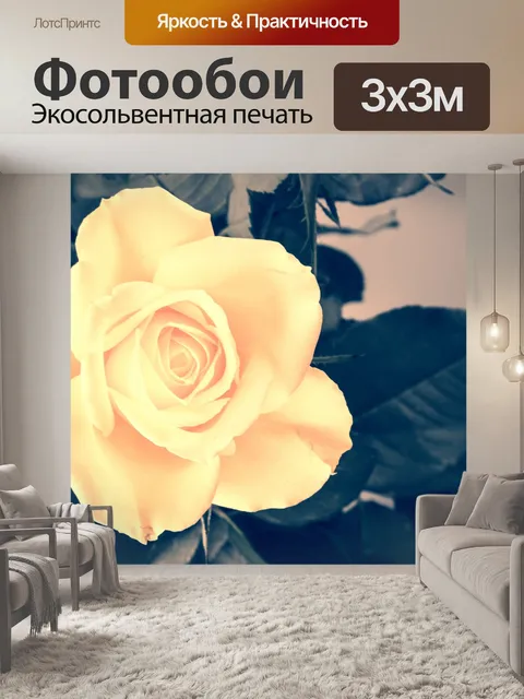 Фотообои Цветок