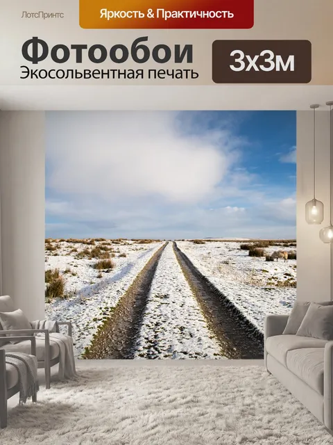 Фотообои Снегоуборочное