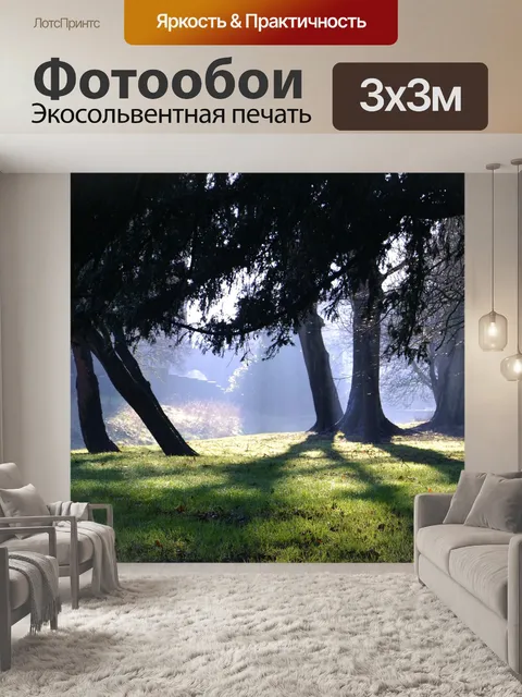 Фотообои Древесина