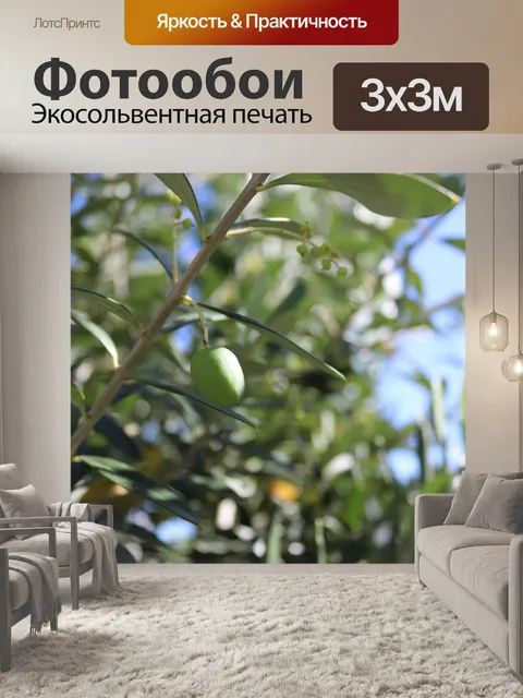 Фотообои Оливковый