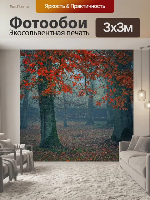 Фотообои Осенние лесные деревья листья листвы