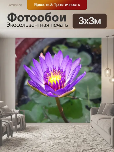 Фотообои Цветы