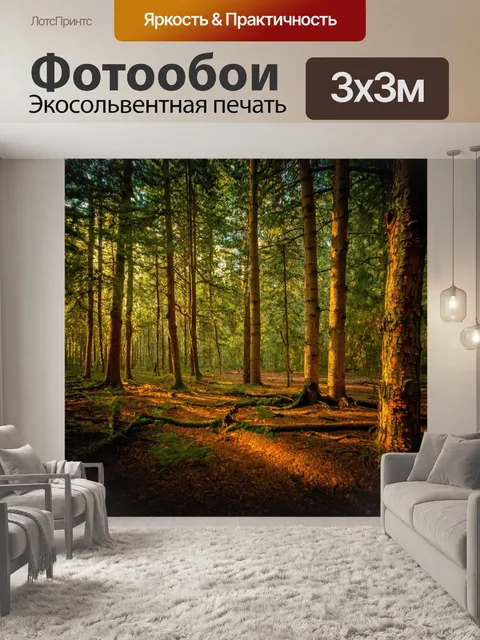 Фотообои лес с глубинными тенями, теплым светом и удивительными текстурами в коре деревьев