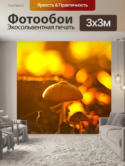 Фотообои Грибы