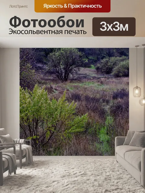 Фотообои Луг после дождя