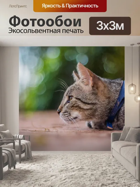 Фотообои Кошки
