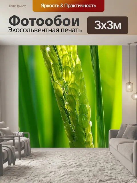 Фотообои Еда