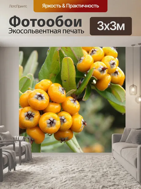 Фотообои Ягода