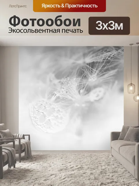 Фотообои Одуванчик