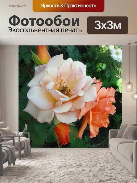 Фотообои Розы