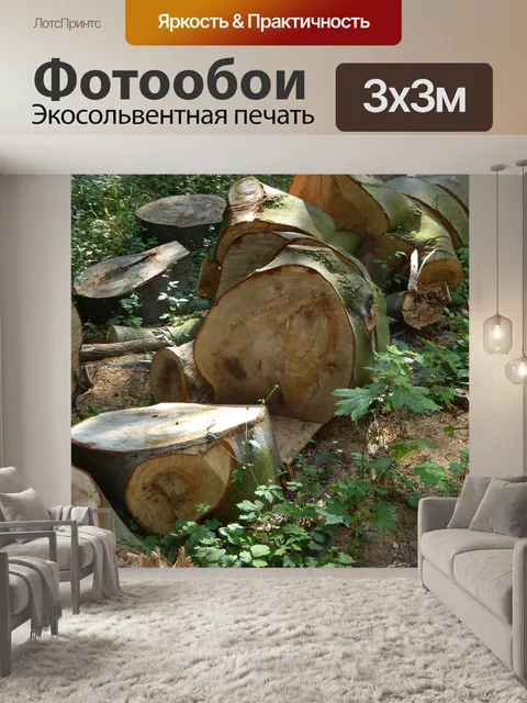 Фотообои Бревно