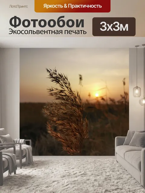 Фотообои Закат