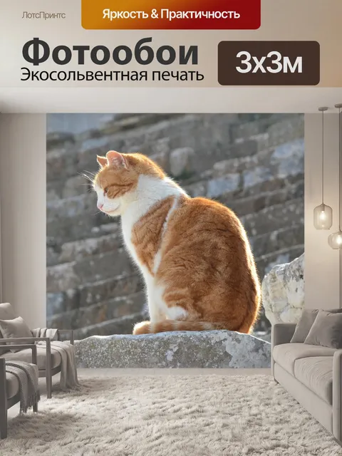 Фотообои Кошка