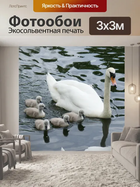 Фотообои Птицы