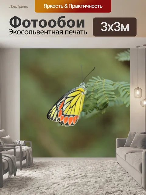 Фотообои Бабочка