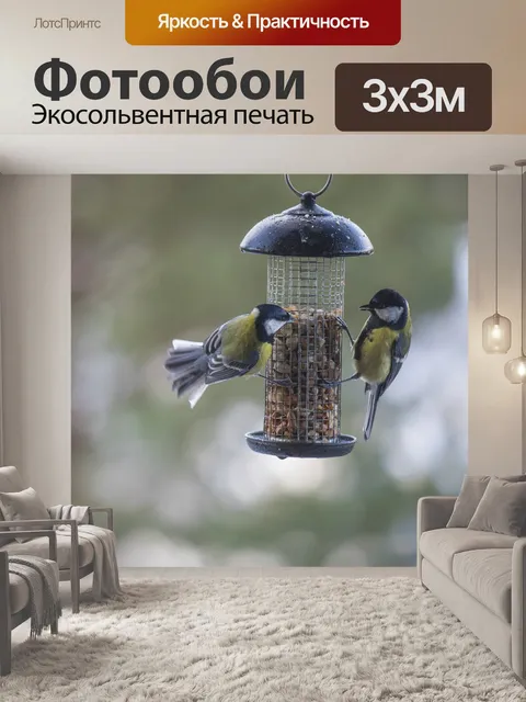 Фотообои Птицы