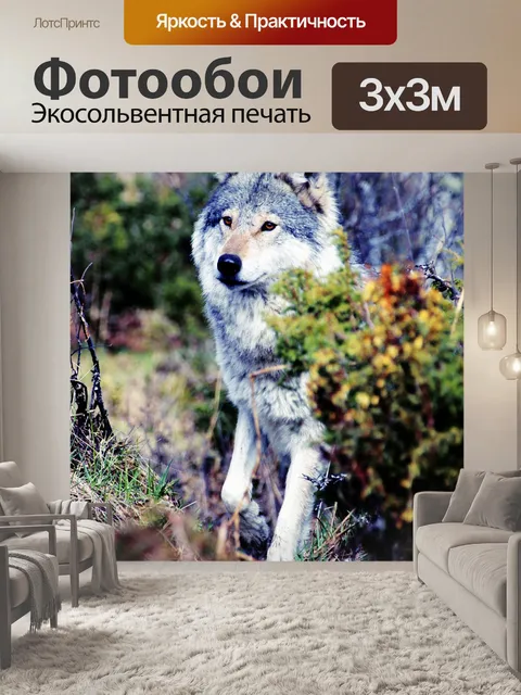 Фотообои Волк
