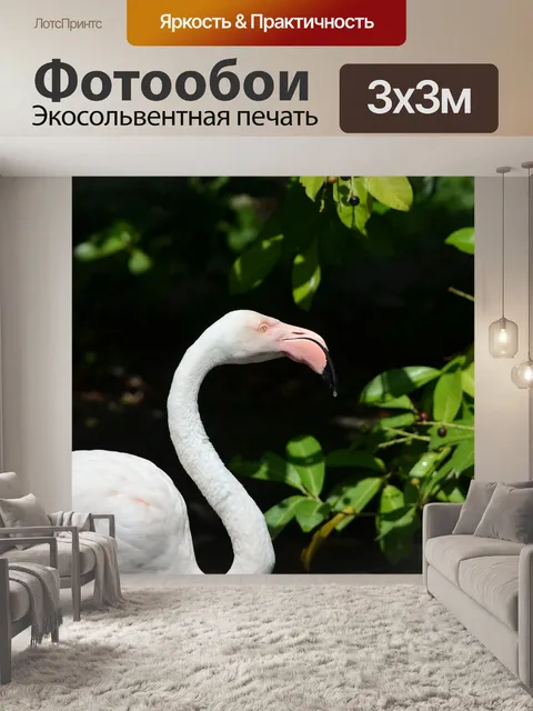 Фотообои Фламинго