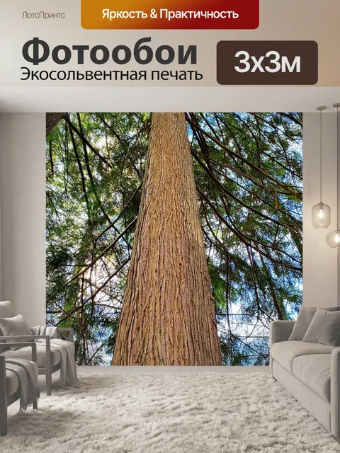Фотообои Дерево